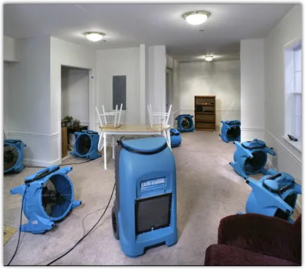 Mold Remediation & Removal in Wilmington Manor, DE