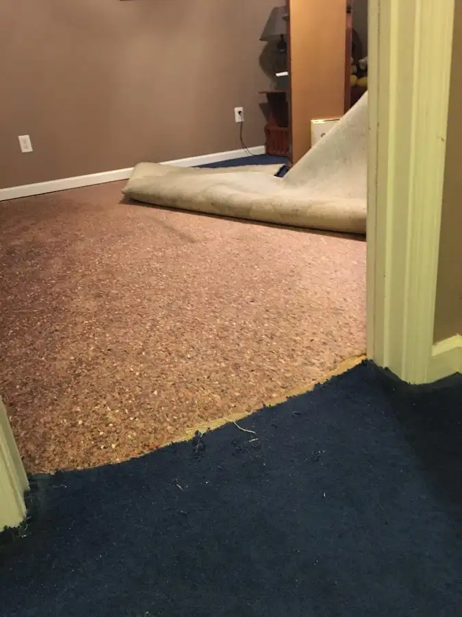 Carpet pad removal revealing water damage during Water Mitigation Services in Wilmington Manor