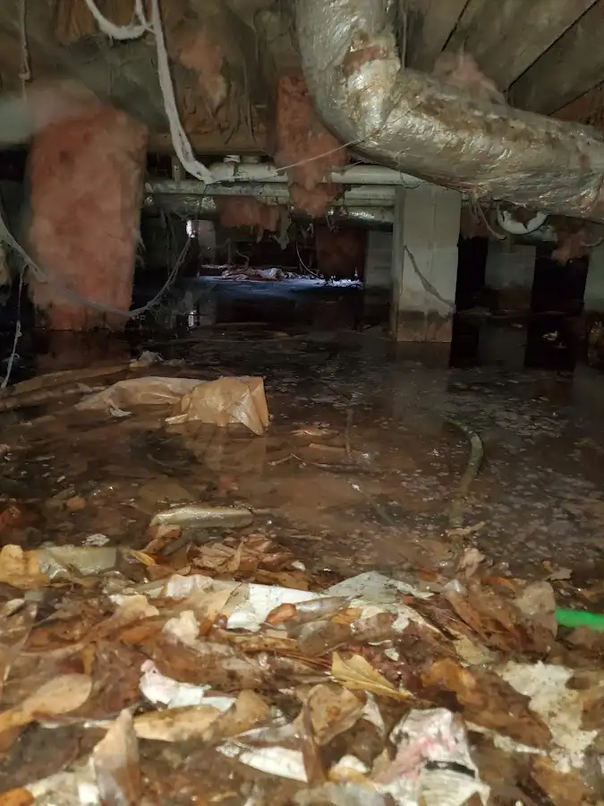 Crawl space flood assessment for Commercial Water Damage Restoration in Wilmington Manor