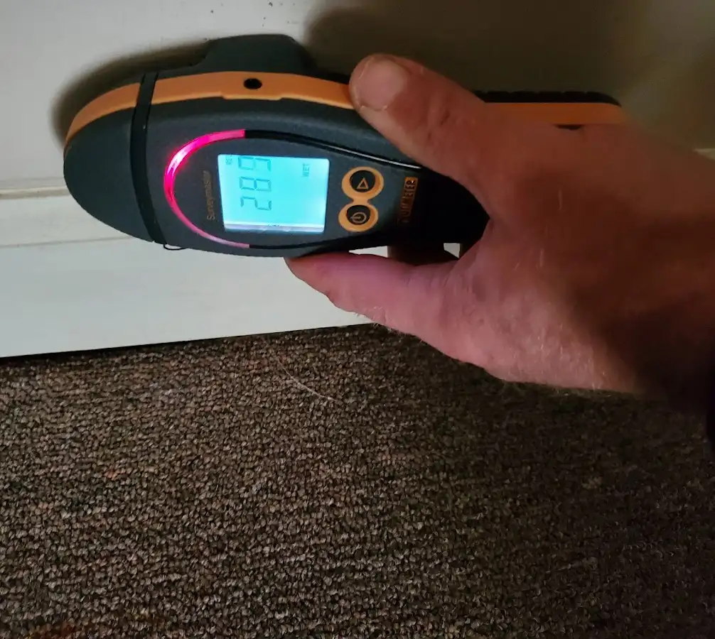 Moisture detection at baseboard during Burst Pipe Cleanup in Wilmington Manor